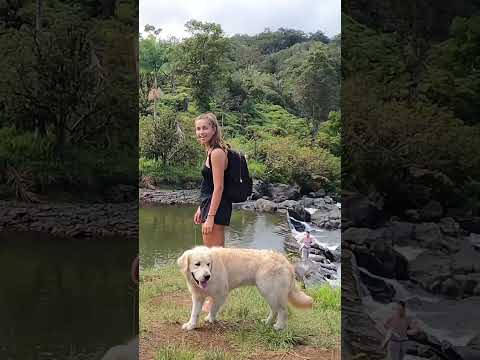 Çıplaklar Şelalesi Hawaii