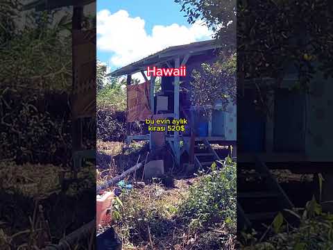 Hawaii'de Kiralık Ev Fiyatları (Fatura Yok)