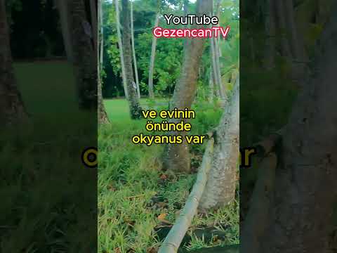 Hawaii'de bir ev       #gezencan #travelvlog #abddeyaşam #amerikalılar #hawaiideyaşam #hawaiituru