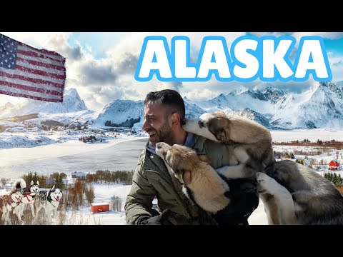 Her Şey Burda Başladı : ALASKA 🇺🇸