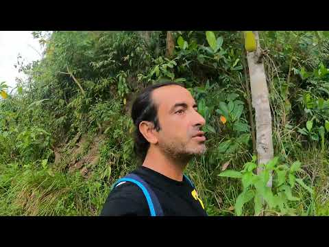 Port Barton'da Çılgın Parti Hostelindeyim 🇵🇭