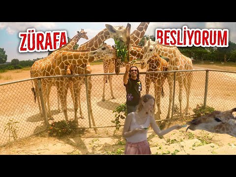 Filipinler'de Zürafa Adasına Gittim 🇵🇭