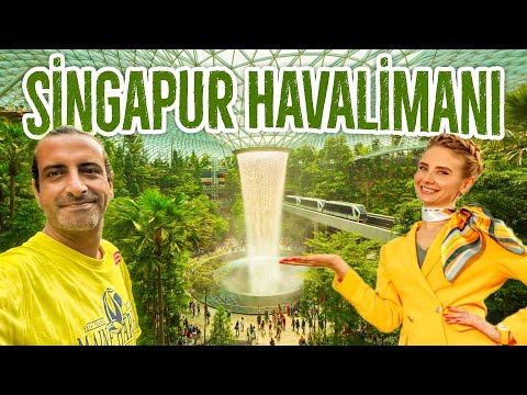 Burası Amazon Ormanı Değil, Singapur Havalimanı 🇸🇬