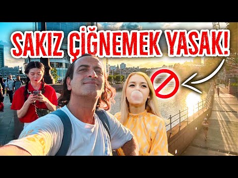 Yolsuzluklar Ülkesinden, Kurallar Ülkesine Geldim 🇸🇬