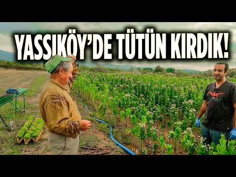 Batı Trakya'nın Köylerine Yolculuk 🇬🇷