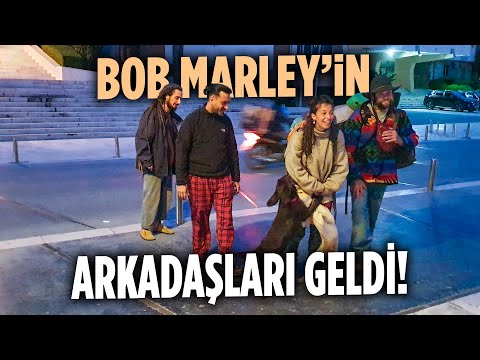 Arnavutluk Durres  Şehrinde Gezginler Evi 🇦🇱