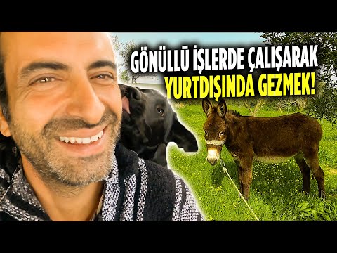 Yunanistan'da Çalıştığım Çiftliği Gezelim 🐴 🐑 🐔 🇬🇷