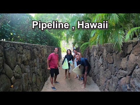 Hawaii'nin ve Dünyanın En Güzel Surf Plajındayız! 🇺🇸