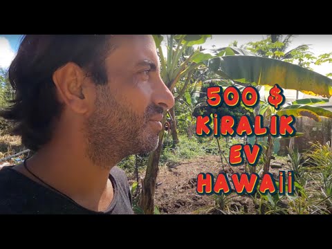 Hawaii'de Çiftlik Evleri Kiraları (Faturalar Dahil) 🇺🇲