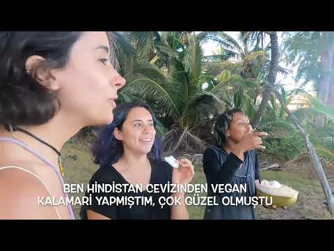 İmamı Türkiye'ye Yolladık, Hawaii'de Rakı İçtik 🇺🇲