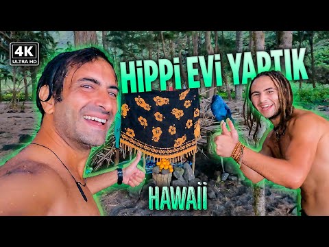 Kumsalda Ağaçtan Ev Yaptık / Hawaii 🇺🇸