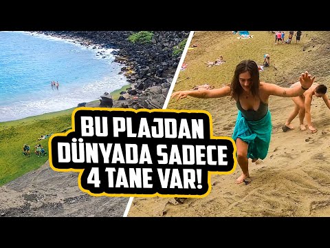 Yeşil Kum Plajı'nı bulduk / Hawaii 🇺🇸