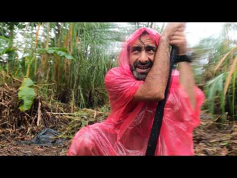 Hawaii Adasında Çiftlikte Çalışıyorum 🇺🇸