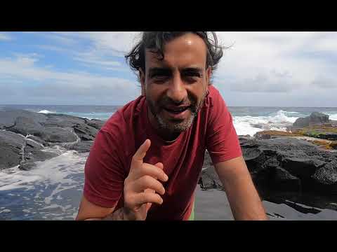 Hawaii'de Kira Fatura Ödemeden Yaşıyorum 🇺🇸