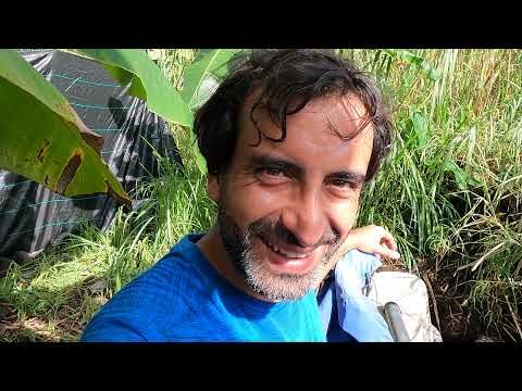 Hawaii'ye taşındım 🇺🇸