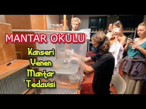 Guatemala'da Mantar Okuluna Gittik, Mantar Dersi Aldık 🇬🇹