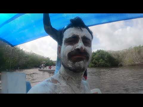 Timsahlar, Flamingolar, Pelikanlarla Dolu Las Coloradas'tayız 🇲🇽