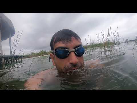 Meksika'nın Bacalar Gölü'nde Nilüferlerin Altında Yüzmek 🇲🇽