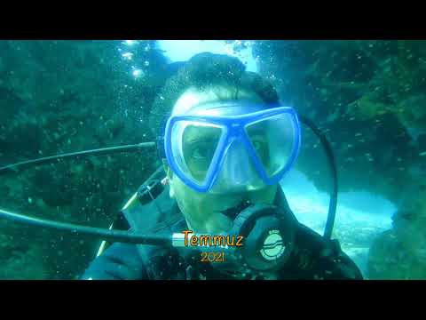 Cozumel'de tüplü dalış , Meksika 2021 🇲🇽