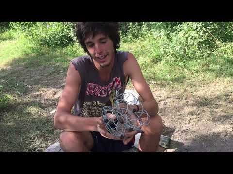 İnsanlık Tarihini Özetleyen Arjantinli Hippi 🇦🇷