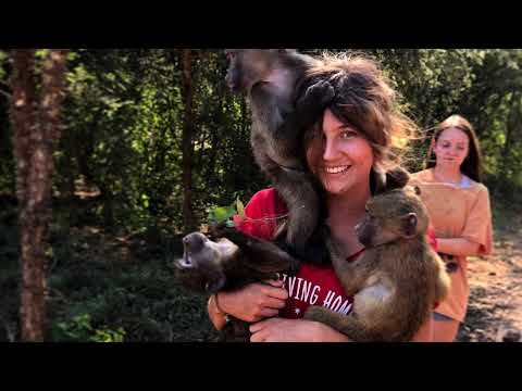 En ucuz yurtdışını gezme yöntemi : WORKAWAY