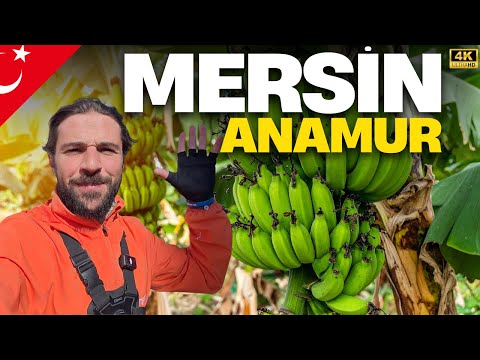 Bisikletle Türkiye Turu: Anamur'da Muz Serasının İçine Düştüm! •238