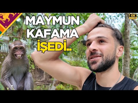 SRİ LANKA'da GECELİĞİ SADECE 8 DOLARA CENNET GİBİ BİR YER! •84