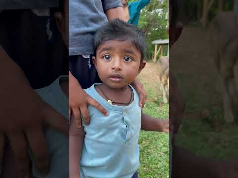 Yola çık, yol açık 💪🏽 #shorts #backpackers #gezgin #dünyaturu