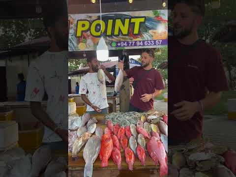 Sri Lanka’da balıkçılık yaptım.. #shorts #gezgin