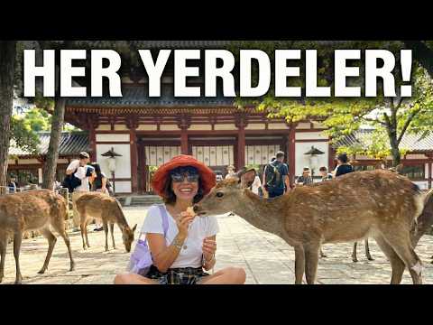 NARA'NIN KUTSAL GEYİKLERİ İLE BİR GÜN - Japonya Vlog