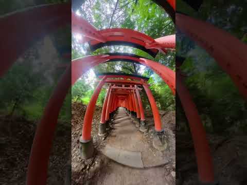 Japonya Kyoto’da bulunan o meşhur yer, Fushimi İnari tapınağı..