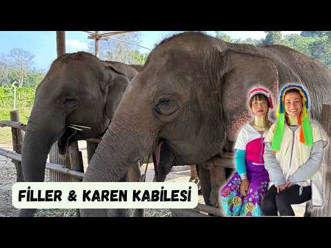 TAYLAND'DA FİLLERLE  BULUŞMA.