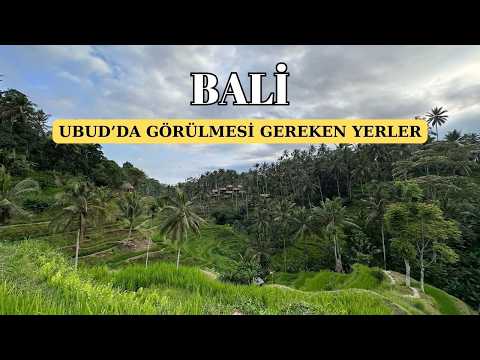 BALİ, UBUD'DA GÖRÜLMESİ GEREKEN YERLER - Pirinç Terasları, Tapınaklar Ve Ormanları.