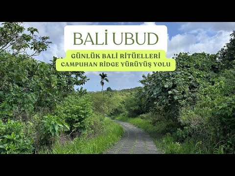 BALİ UBUD'DA GİREMEDİĞM TAPINAK - CAMPUHAN RİDGE YÜRÜYÜŞ YOLU VE GÜNLÜK BALİ RİTÜELLERİ