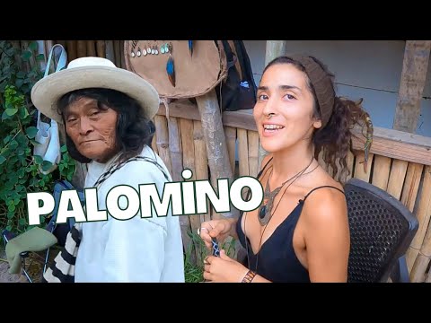 Kolombiya ‘nın En Çok Tercih Edilen GEZGİN Kasabası  🇨🇴